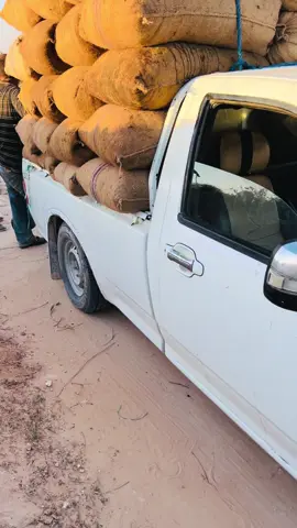 #الشعب_الصيني_ماله_حل😂😂 