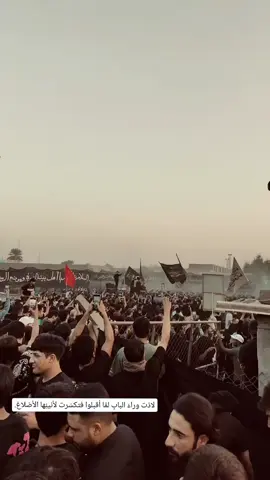 عزاء النعمانية الموحد🤍 #فاطمة_الزهراء #عباس_عجيد_العامري #حسين_والي_اللامي 