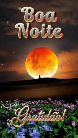 Gratidão, Senhor, por mais um dia vencido. Em suas mãos entrego meu descanso 🙏🏻❤️. #boanoite #oração #fé #reflexão #amém 