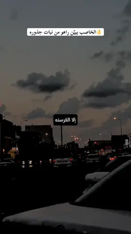 👌الخاصب يبين راهو من نبات جذوره#تصميم_فيديوهات🎶🎤🎬 #اكسبلور #ليبيا #fyp #طوبا   