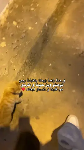 Inchalh🤍#الحمدلله_دائماً_وابداً #friends #algeria #family #music 