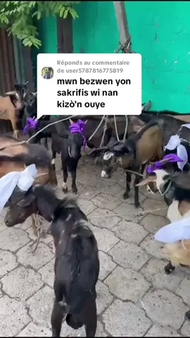 Réponse à @user5787816775819 #VoiceEffects 