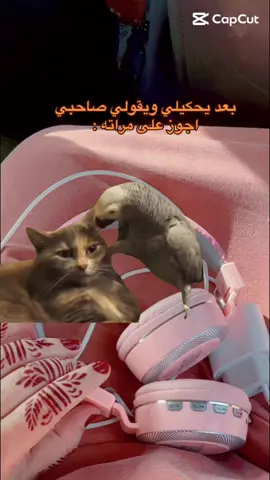 🌚🤣💔 #ليبيا🇱🇾 #الشعب_الصيني_ماله_حل😂😂 