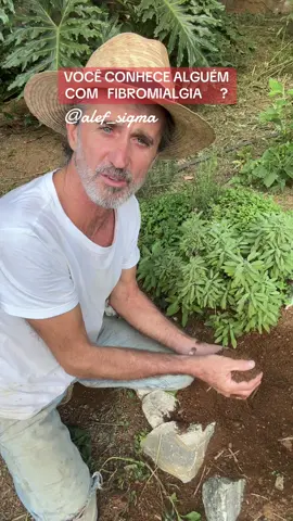VOCÊ CONHECE ALGUÉM COM FIBROMIALGIA ? #fibromialgia #alefsigma #terapia #pensamentos #emocional 