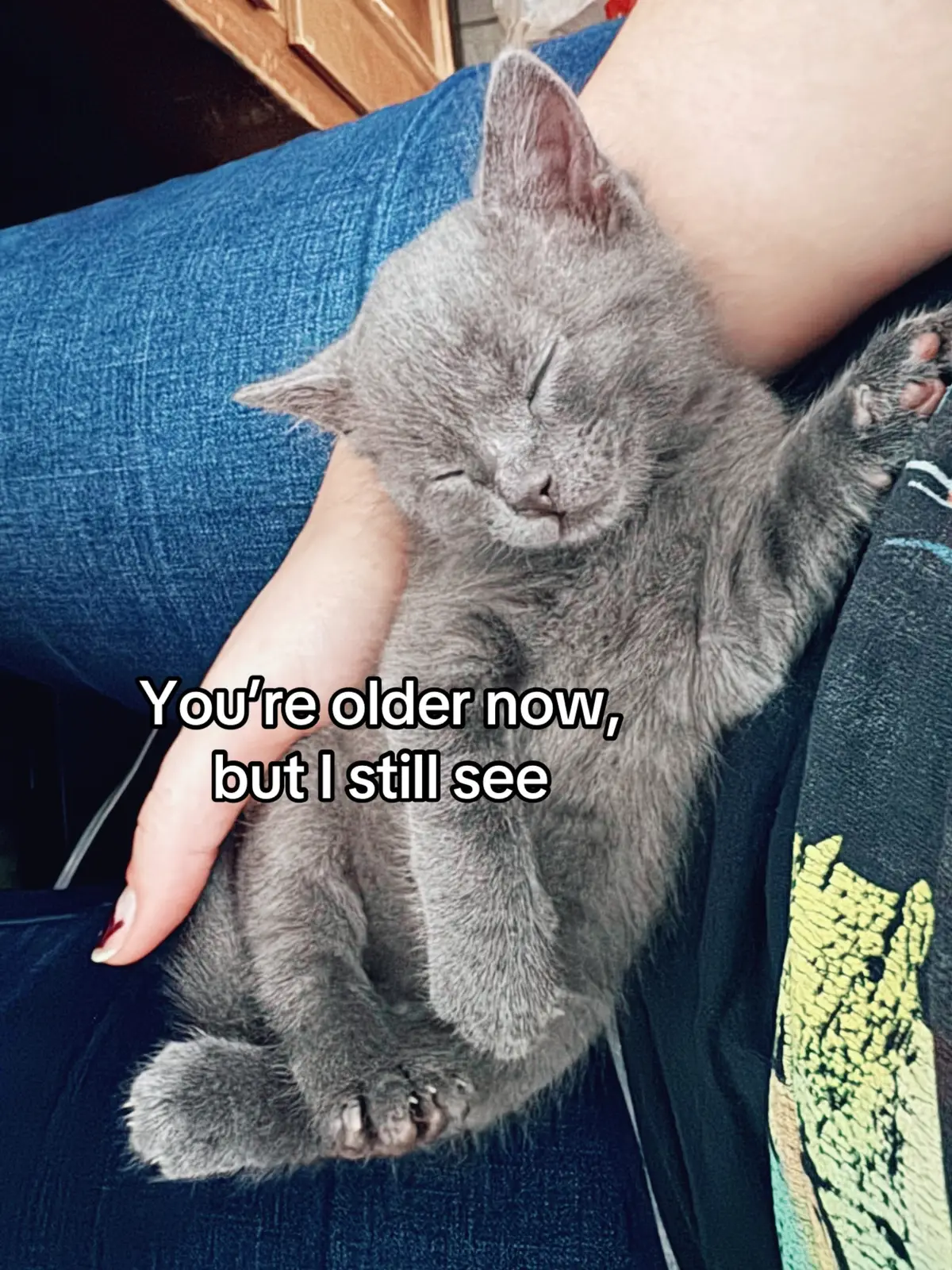 I love my little guy so much #cats #kitten #furbaby