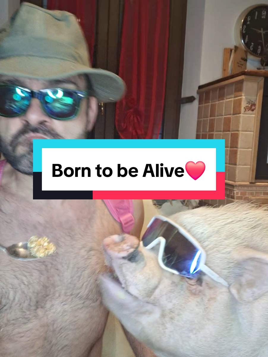 #funnyvideos #videodivertenti #comico #risate 