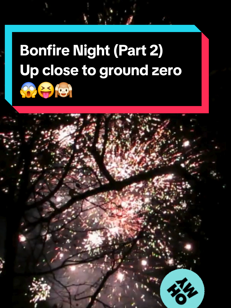 We got to the park and the fireworks were deafening. A plane flew across the sky and I gasped because it felt like it was going right into them. The silhouette of the trees added to the artistry and it was the most incredible sight.  #bonfirenight #fireworks2025 #lightshow #trees #freethingstodo 