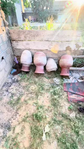 Colorado n’est pas amis de quelqu’un 😂😂#تشاد🇹🇩 #الشعب_الصيني_ماله_حل😂😂 