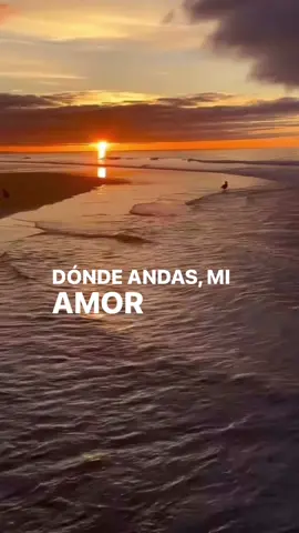 Cuisillos ~ Eres Imposible De Olvidar #fyp