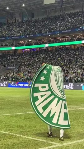 Endrick performance avec palmeiras #palmeiras #endrick #brazil #realmadridfc #madridista @SE Palmeiras @Endrick Felipe 