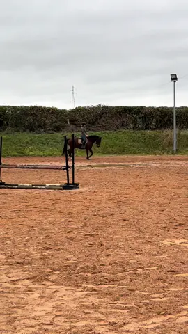 Juste un TF de 4 ans exceptionnel 🤩