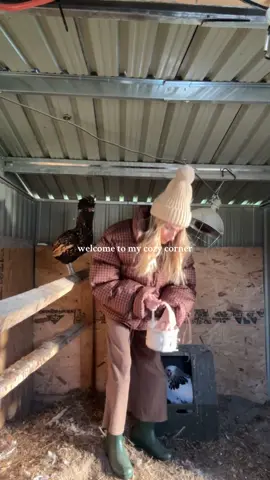 welcome 👋🏻 🐓 #homestead #homesteading #slowliving #chickens #pennsylvania 