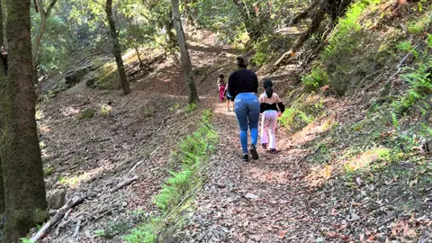 #mishijossonmivida ❤️✨🙌🏻