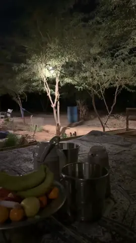 #بدر_الغريب #بدر_الغريب💔🎶 #شعبيات #شعبي #عود 