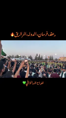 #عقد_فرسان_الدوله_المرازيق #افراح_الوافي #مصورين_فوتوغرافين #اكسبلورexplore #تصويري📸 