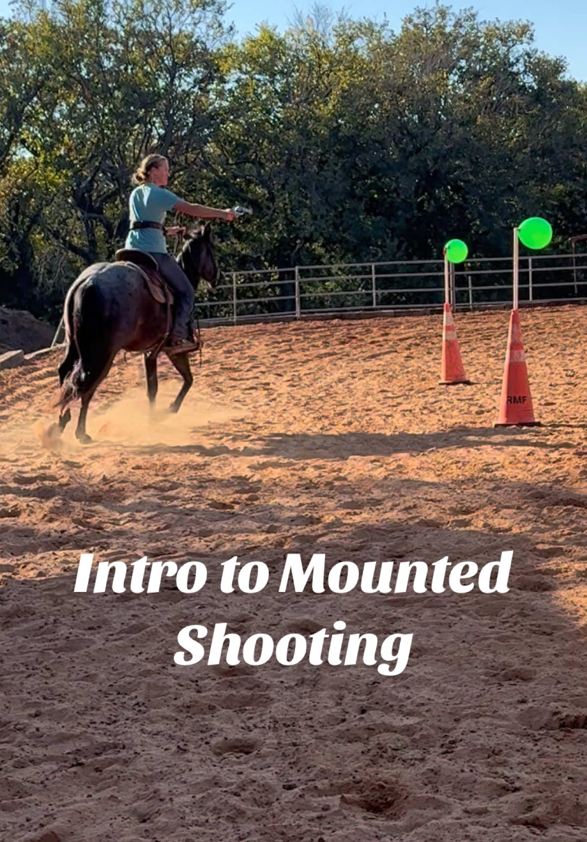 Hey everyone 👋 I’m boomer!!! #mountedshooting #aqha #blueroan #horsetraining #topwindranch 