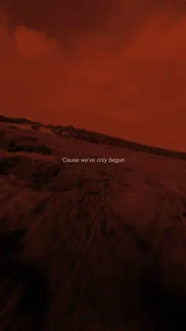 Venus #faceless #serotonin #venus #lyricsvideo #lyrics 