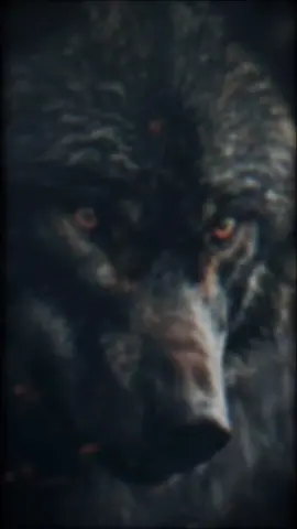 #CapCut الي يلزم الكل ميلزمنيش  #الكابتن_محمد 