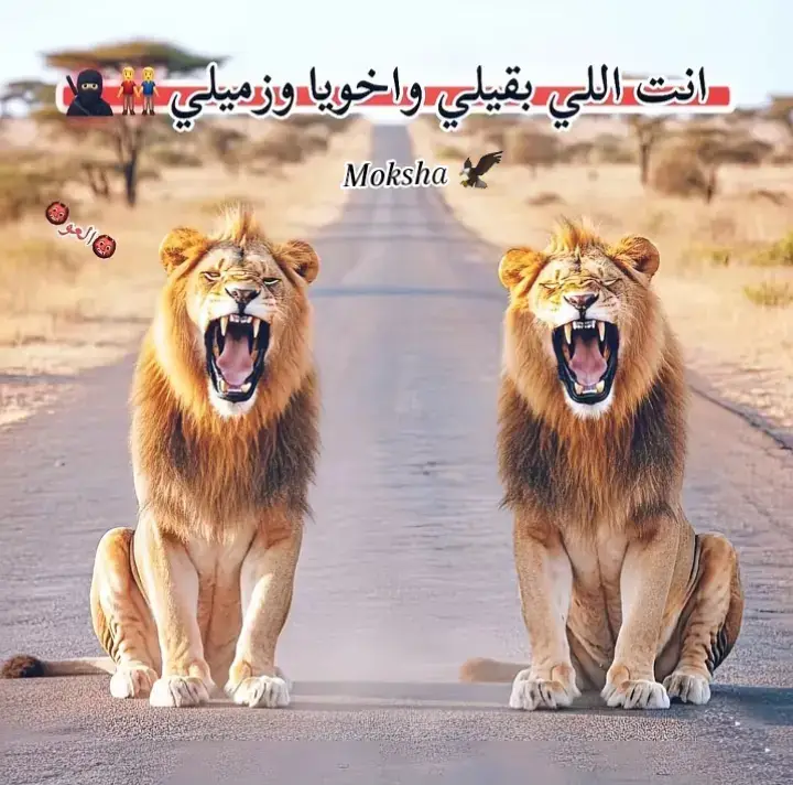 #❤️‍  #اخويا_حبيب_قلبي👬❤😍  #ليك__🖤__متابعه__اكسبلووور 