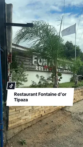 Franchement, super resto de poisson 🐟✨ On y mange trop bien, le menu est super varié et tout est frais 😋 Le resto est grand, propre et l’ambiance top 👌 Les prix sont comme partout, mais ça vaut vraiment la peine ! 🙌 #tipaza #fontainedorrestaurant #الشعب_الصيني_ماله_حل😂😂 #fyp #algeria 