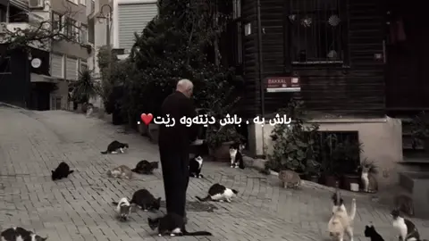 #fyp #foryou #foryoupage #viral #hawler باش دێتەوە رێت🖤.