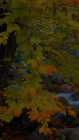 #سوره#ابراهيم #قران_كريم #محمد_الفقيه #fup 