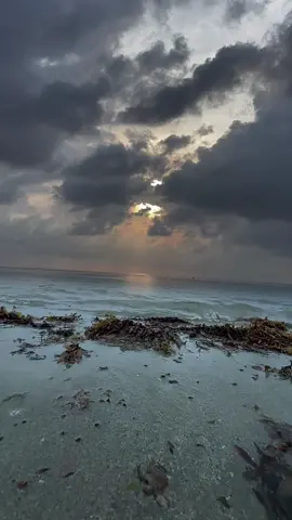 #تصويري_تصميمي  