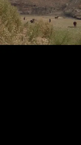 إيش الحل حبيتك يا ست الكل  #عوض_المالكي #اولاد_علي 