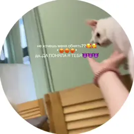 он походу искал нар😸