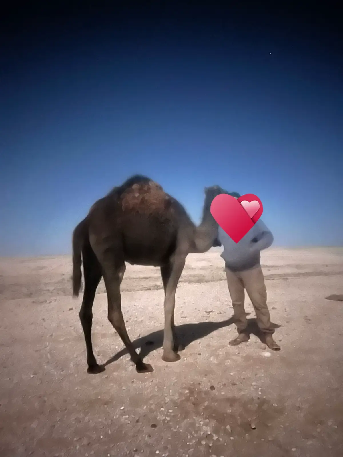 #LIVEIncentiveProgram #SideHustleLIVE #PaidPartnership 