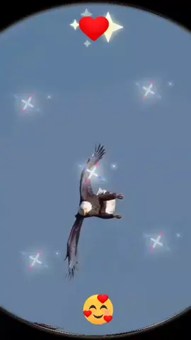 #تحية من القلب♥️👍😚🫣💥🤫😘