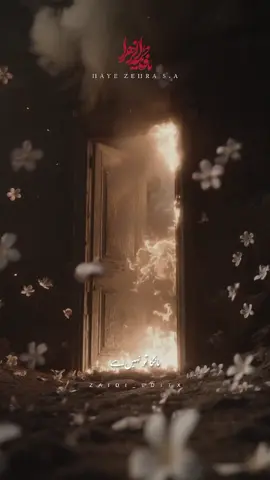 #bibifatima #karbala_karbala #zaidieditx #tiktok #foryoupage 