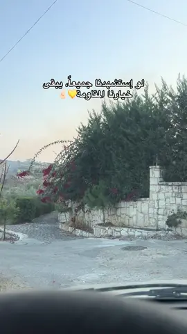 #نبطية_جنوب_لبنان #شيعة_الامام_علي_عليه_السلام #fyppppppppppppppppppppppp #اكسبلور #fyppppppppppppppppppppppp 