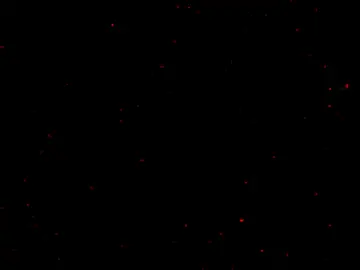 #الشعب_الصيني_ملوش_حل😂😂 #DIY  . #stitch #yyyyyyyyyyyyyyyyy  #fyppppppppppppppppppppppp 