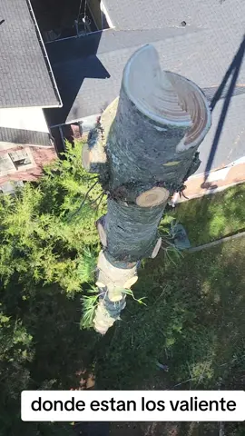 #no #todo #son #valiente 