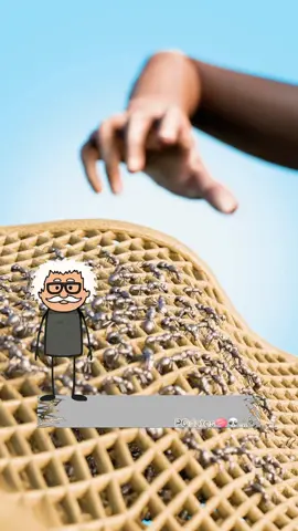 Esto es lo que tenés que hacer para poder ser líderes tribales.  . #facts #lideres #mindblown #Viral #paratiiiiiiiiiiiiiiiiiiiiiiiiiiiiiii 