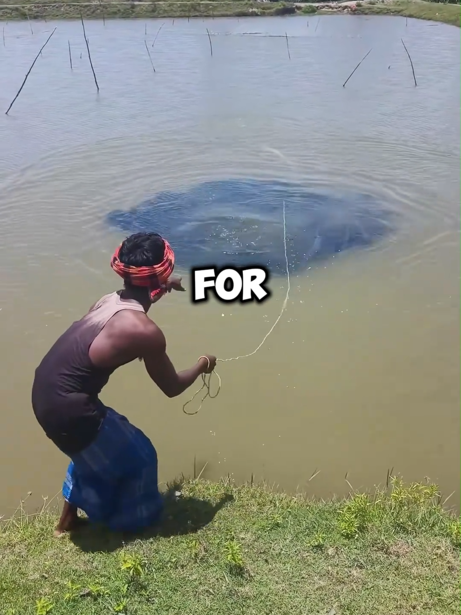 What Came Out of This Net Will Shock You 🐟😮
