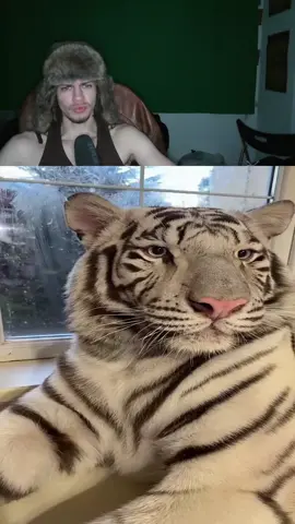 #streamclips #fyp #wladi #wladiclips #clipfarming 