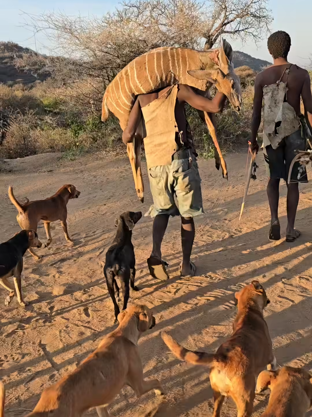 amazing hunt today by Hadzabe people with chaabaa #reels #shorts #video #trending #chaabaa #dudukwe #fblifestyle