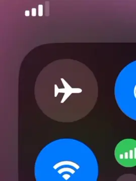 #fyp  #phenikaauniversity 