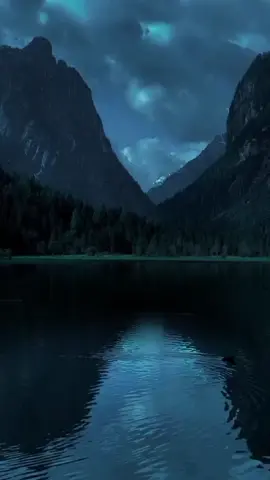 #ايات_قرانيه_تريح_القلب #ياسرالدوسري #صلوا_على_رسول_الله #راحه_نفسيه🖤🎧 