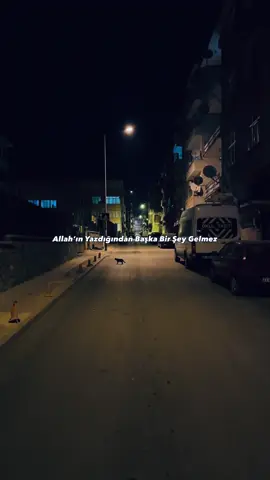 ⚜️  ⚜️  ⚜️ . . . #fy #keşfet #tiktokviral #fyppppppppppppppppppppppp 