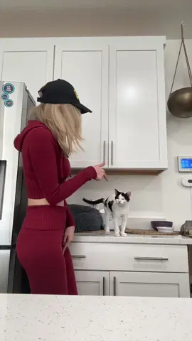 Little miz #fyp #hytoxia 