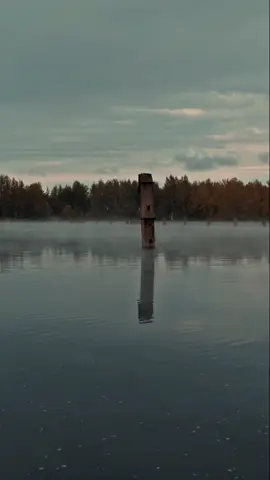 #CapCut #musicazina #جايي_الشتي#@Mouslem  - مسلم 