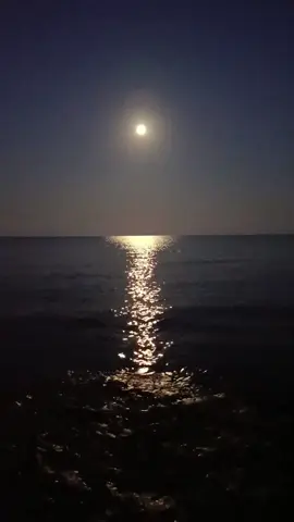 Bisogna stare con le persone che ci fanno stare bene e che ci apprezzano per quello che siamo, persone che non guardano se sei ricco, né se sei bello, ma guardano la ricchezza e la bellezza che abbiamo dentro al nostro cuore❤️ e la nostra anima. Dolce notte!!😘❤️🌹