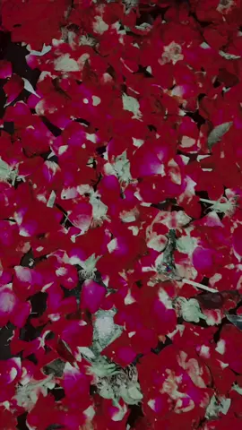 #happy #birthday #girft😒🫠#foruoupage 