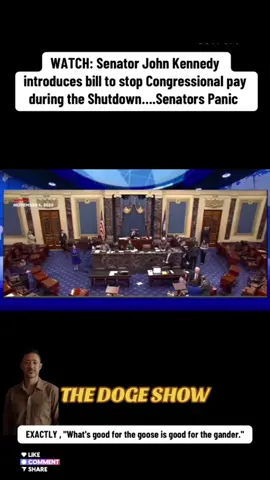 #duet with @THE DOGE SHOW #watch #you 