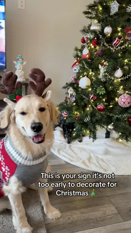 Who’s ready for Christmas ?!?! 