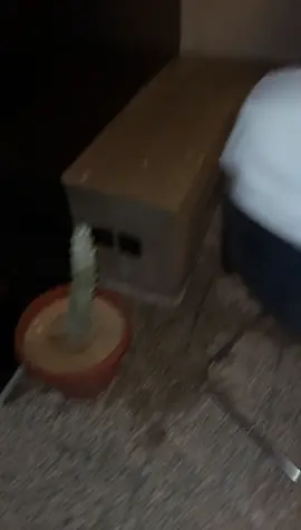 وراه ماترقص ؟ #محمد_ولد_ابراهيم 