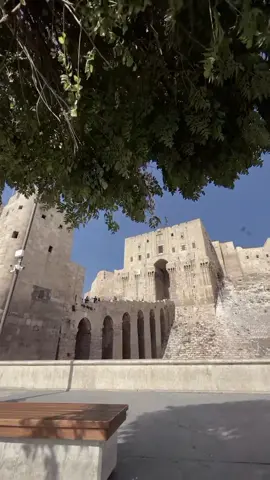 #حلب #اكسبلورexploreاكسبلوووور #وهيكااا🙂🌸تابعووني🙂💔 